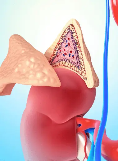 Urological oncology surgery gynecological oncology surgery urological cancer treatment bladder cancer surgery ovarian cancer treatment